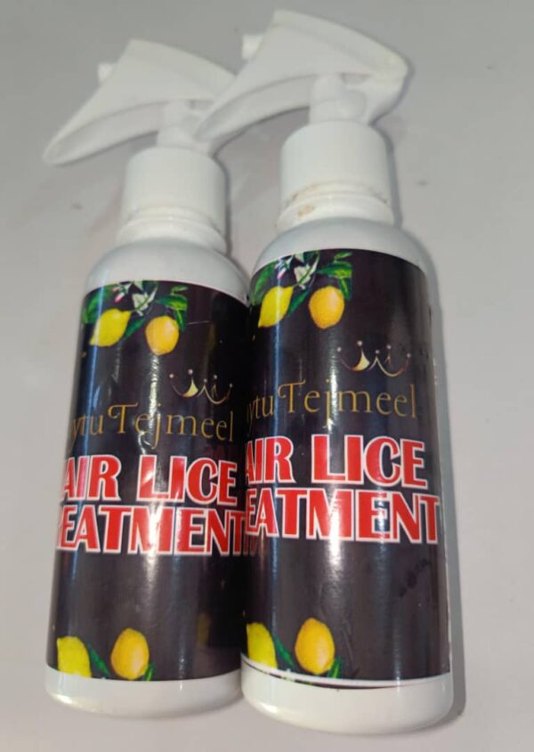 Hair Lice Treatment - Image 2